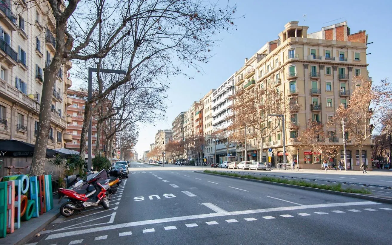 P2Par1002 - Super Bright & New Apartment In The City Center Barcelona